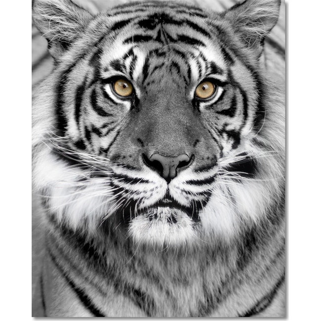 Home Accessories - Tiger on Glass Wall Art