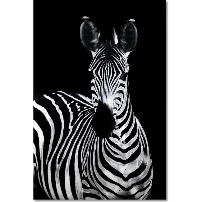 Home Accessories - Zebra on Glass Wall Art