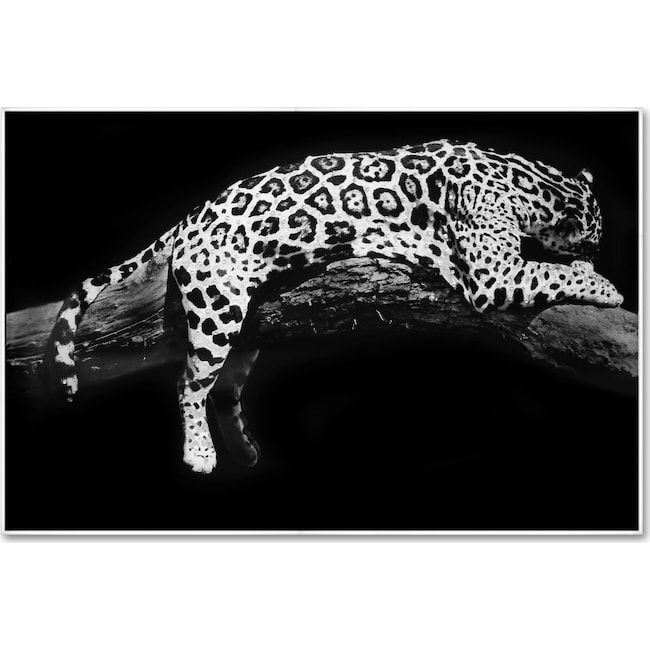 Home Accessories - Laying Leopard Wall Art