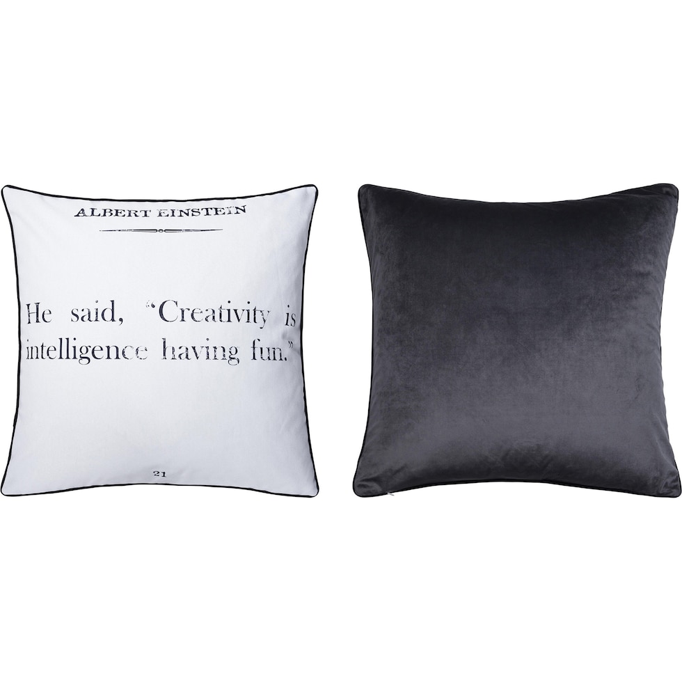 albert einstien pillow black white accent pillow   