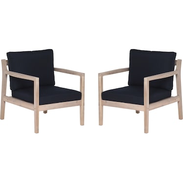 Annotto Bay Set Of 2 Outdoor Chair
