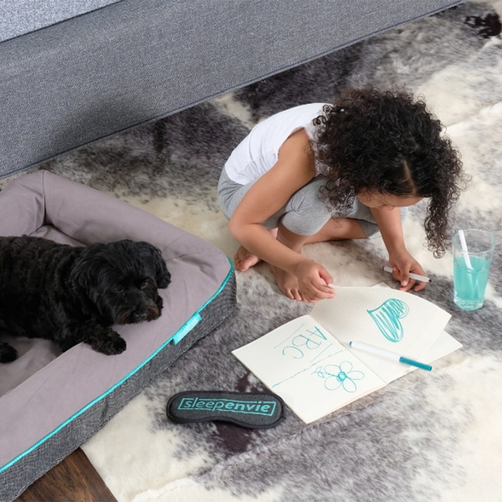 arlan gray pet furniture   