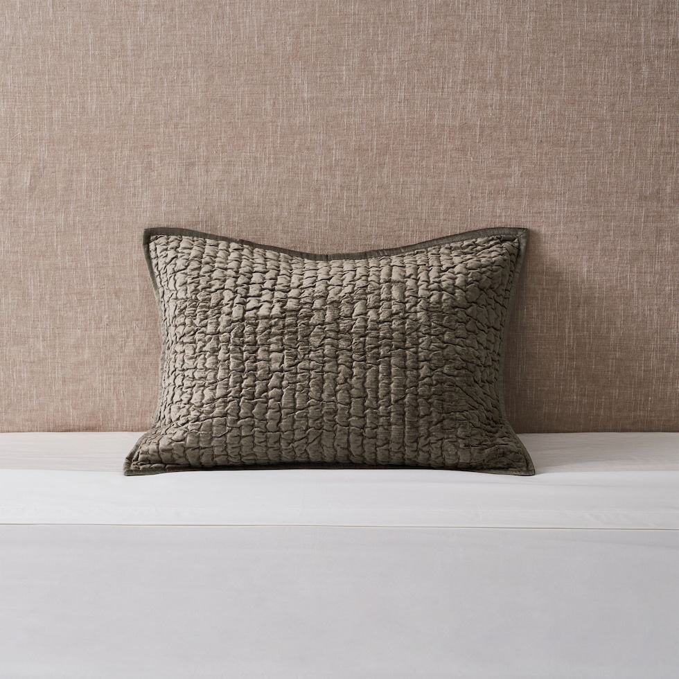 bari pillow sham   
