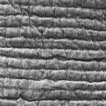 bari pillow sham   