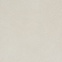 beige swatch  
