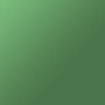black green swatch  