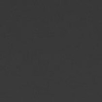 black swatch  