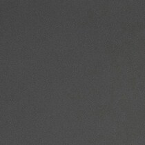 black swatch  