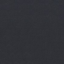 black swatch  