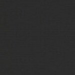 black swatch  