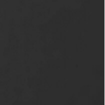 black swatch  