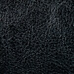 black swatch  