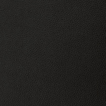 black swatch  