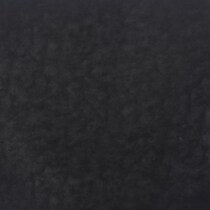 black swatch  