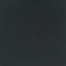 black swatch  