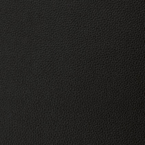 black swatch  