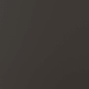 Christina LED Wall Mirror - Black Tinted