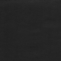 black swatch  