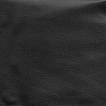 black swatch  