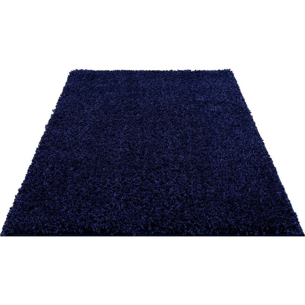 blue area rug  x    