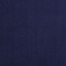 blue swatch  