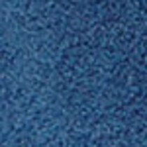 blue swatch  