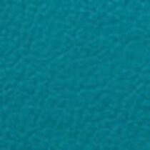 blue swatch  