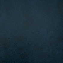 blue swatch  