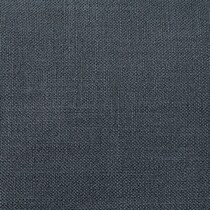 blue swatch  