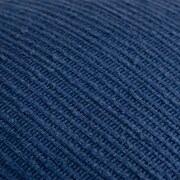 blue swatch  