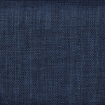 blue swatch  