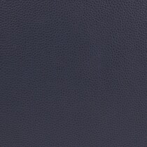blue swatch  