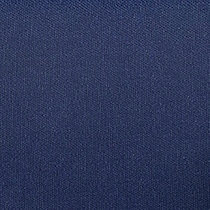 blue swatch  