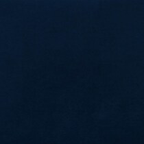 blue swatch  