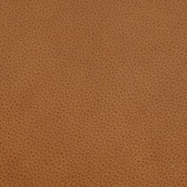 blue swatch  