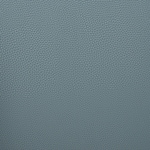 blue swatch  
