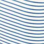 blue swatch  