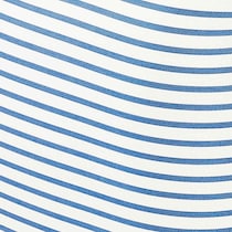 blue swatch  