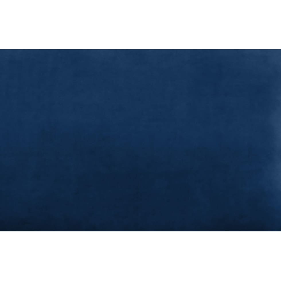 blue swatch  