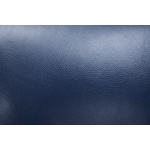 blue swatch  