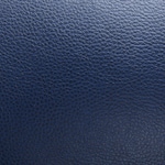 blue swatch  