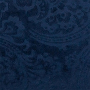 blue swatch  