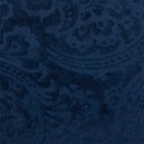 blue swatch  