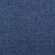 blue swatch  