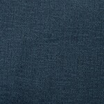 blue swatch  
