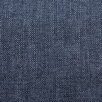 blue swatch  