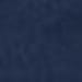 blue swatch