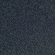 blue swatch  