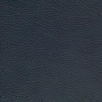 blue swatch  