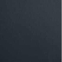 blue swatch  
